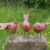 3x-Rustic-Robin-Bird-Ornaments-2