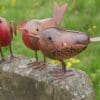 3x-Rustic-Robin-Bird-Ornaments-3