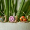 4-Multi-Coloured-Snail-Statues-2-scaled