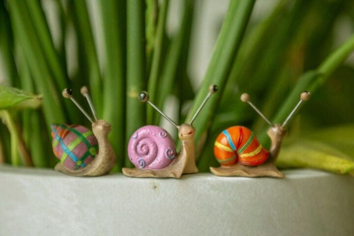 4-Multi-Coloured-Snail-Statues-2-scaled