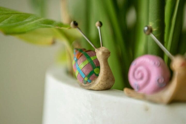4-Multi-Coloured-Snail-Statues-3-scaled