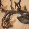 Cast-Iron-Deer-Stag-Coat-Hook-Key-Holder-5