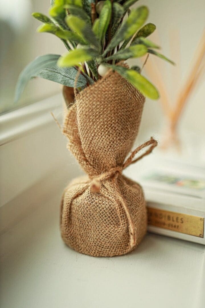 Indoor-plant-pot-2