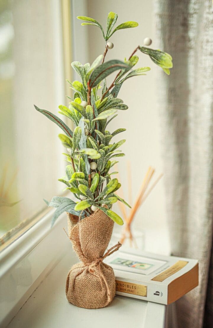 Indoor-plant-pot