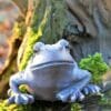 Large-Pair-Of-Sitting-Frogs-Garden-Ornaments-1-2