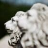 Pair-Of-Stone-Effect-Garden-Ornaments-Lions-3