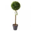 Uno-Topiary-Tree-1