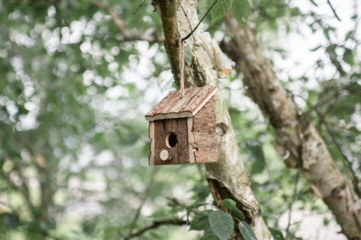 Wooden-Hanging-Bird-Wild-Bird-Hotel-3-scaled