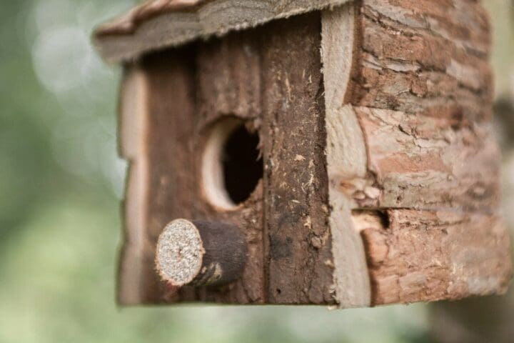 Wooden-Hanging-Bird-Wild-Bird-Hotel-4-scaled