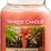 large-yankee-candle-623g-candle-jar-the-last-paradise