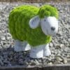 sheepres-scaled