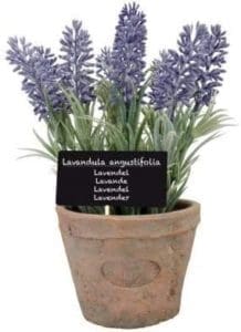 large-terracotta-pot-with-artificial-lavender