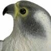 realistic-falcon-garden-bird-deterrent-ornament