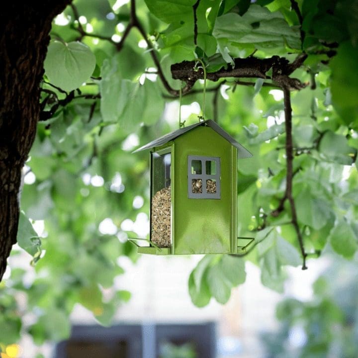 strong-seed-feeder-with-a-hanging-hook-beach-hut