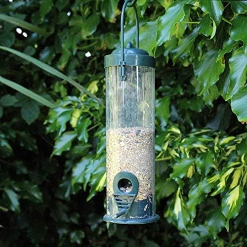 blue-and-green-hanging-bird-feeder-with-a-lift-lid